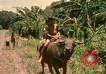Image of family system Philippines, 1971, second 45 stock footage video 65675078052