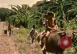 Image of family system Philippines, 1971, second 46 stock footage video 65675078052