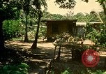 Image of family system Philippines, 1971, second 58 stock footage video 65675078052