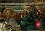 Image of extent of poverty Philippines, 1971, second 41 stock footage video 65675078053