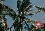 Image of extent of poverty Philippines, 1971, second 46 stock footage video 65675078053
