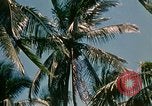 Image of extent of poverty Philippines, 1971, second 48 stock footage video 65675078053
