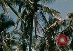 Image of extent of poverty Philippines, 1971, second 49 stock footage video 65675078053