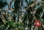 Image of extent of poverty Philippines, 1971, second 50 stock footage video 65675078053
