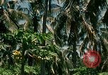 Image of extent of poverty Philippines, 1971, second 51 stock footage video 65675078053