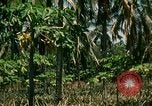 Image of extent of poverty Philippines, 1971, second 52 stock footage video 65675078053