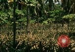 Image of extent of poverty Philippines, 1971, second 53 stock footage video 65675078053