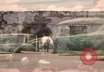 Image of American visitor Philippines, 1971, second 1 stock footage video 65675078057