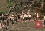 Image of American visitor Philippines, 1971, second 41 stock footage video 65675078057