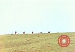 Immagine di Soldati alleati Francia, 1944, secondo 34 filmato di repertorio 65675078060