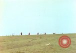 Immagine di Soldati alleati Francia, 1944, secondo 36 filmato di repertorio 65675078060