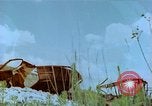 Image of marshaling yard Italy, 1944, second 35 stock footage video 65675078065