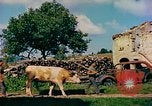 Image of burned buildings France, 1944, second 16 stock footage video 65675078073