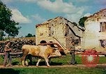 Image of burned buildings France, 1944, second 19 stock footage video 65675078073