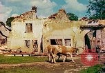 Image of burned buildings France, 1944, second 30 stock footage video 65675078073