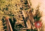 Image of German prisoners France, 1944, second 1 stock footage video 65675078075