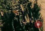Image of German prisoners France, 1944, second 3 stock footage video 65675078075