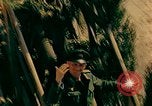 Image of German prisoners France, 1944, second 5 stock footage video 65675078075