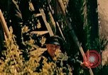 Image of German prisoners France, 1944, second 7 stock footage video 65675078075