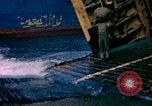 Image of African American troops France, 1944, second 38 stock footage video 65675078088
