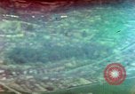 Standbild strafing Deutsche Ziele Deutschland, 1945, aus Sekunde 13 historischem Filmmaterial Videoclip 65675078101