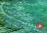 Standbild strafing run Deutschland, 1945, aus Sekunde 9 historischem Filmmaterial Videoclip 65675078108