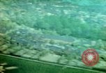 Standbild strafing run Deutschland, 1945, aus Sekunde 19 historischem Filmmaterial Videoclip 65675078108