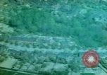Standbild strafing run Deutschland, 1945, aus Sekunde 29 historischem Filmmaterial Videoclip 65675078108