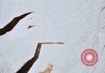 Image of United States Army Vietnam, 1968, second 35 stock footage video 65675078115