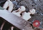 Immagine di Fracassato fino manichini Washington DC USA, 1968, secondo 40 filmato di repertorio 65675078120