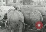 Image Le cirque arrive dans une ville en Amérique United States USA, 1919, de la seconde 5 séquences d'archives historiques vidéo 65675078133