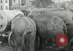 Image Le cirque arrive dans une ville en Amérique United States USA, 1919, de la seconde 7 séquences d'archives historiques vidéo 65675078133
