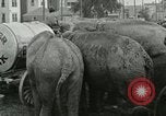 Image Le cirque arrive dans une ville en Amérique United States USA, 1919, de la seconde 8 séquences d'archives historiques vidéo 65675078133