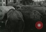 Image Le cirque arrive dans une ville en Amérique United States USA, 1919, de la seconde 9 séquences d'archives historiques vidéo 65675078133