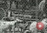Image Le cirque arrive dans une ville en Amérique United States USA, 1919, de la seconde 18 séquences d'archives historiques vidéo 65675078133