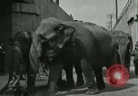 Image Le cirque arrive dans une ville en Amérique United States USA, 1919, de la seconde 37 séquences d'archives historiques vidéo 65675078133