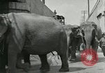 Image Le cirque arrive dans une ville en Amérique United States USA, 1919, de la seconde 38 séquences d'archives historiques vidéo 65675078133