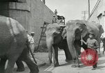 Image Le cirque arrive dans une ville en Amérique United States USA, 1919, de la seconde 39 séquences d'archives historiques vidéo 65675078133