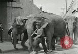 Image Le cirque arrive dans une ville en Amérique United States USA, 1919, de la seconde 40 séquences d'archives historiques vidéo 65675078133