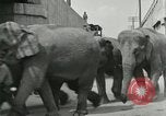 Image Le cirque arrive dans une ville en Amérique United States USA, 1919, de la seconde 41 séquences d'archives historiques vidéo 65675078133