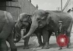 Image Le cirque arrive dans une ville en Amérique United States USA, 1919, de la seconde 42 séquences d'archives historiques vidéo 65675078133