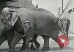 Image Le cirque arrive dans une ville en Amérique United States USA, 1919, de la seconde 43 séquences d'archives historiques vidéo 65675078133
