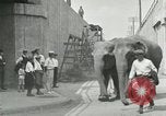 Image Le cirque arrive dans une ville en Amérique United States USA, 1919, de la seconde 45 séquences d'archives historiques vidéo 65675078133