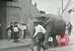 Image Le cirque arrive dans une ville en Amérique United States USA, 1919, de la seconde 46 séquences d'archives historiques vidéo 65675078133