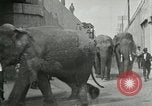 Image Le cirque arrive dans une ville en Amérique United States USA, 1919, de la seconde 47 séquences d'archives historiques vidéo 65675078133