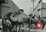 Image Le cirque arrive dans une ville en Amérique United States USA, 1919, de la seconde 50 séquences d'archives historiques vidéo 65675078133