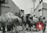 Image Le cirque arrive dans une ville en Amérique United States USA, 1919, de la seconde 51 séquences d'archives historiques vidéo 65675078133