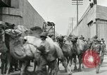 Image Le cirque arrive dans une ville en Amérique United States USA, 1919, de la seconde 53 séquences d'archives historiques vidéo 65675078133