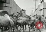 Image Le cirque arrive dans une ville en Amérique United States USA, 1919, de la seconde 54 séquences d'archives historiques vidéo 65675078133
