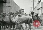 Image Le cirque arrive dans une ville en Amérique United States USA, 1919, de la seconde 55 séquences d'archives historiques vidéo 65675078133